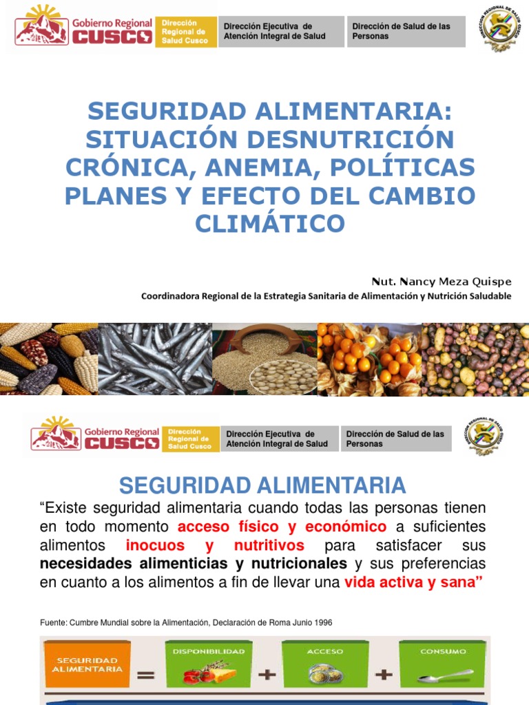 Seguridad Alimentaria Utilizacion Pdf Seguridad Alimentaria Alimentos
