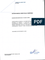 Sobrevilla Martinez.pdf