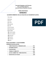 Tarea Herbario