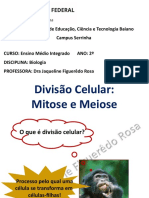 Divisc3a3o Celular