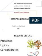 1Proteinas_plasmaticass