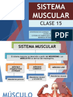 Clase 15 - Sistema Muscular