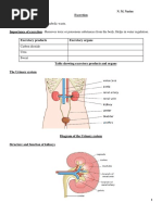 Exretion and Homeostasis