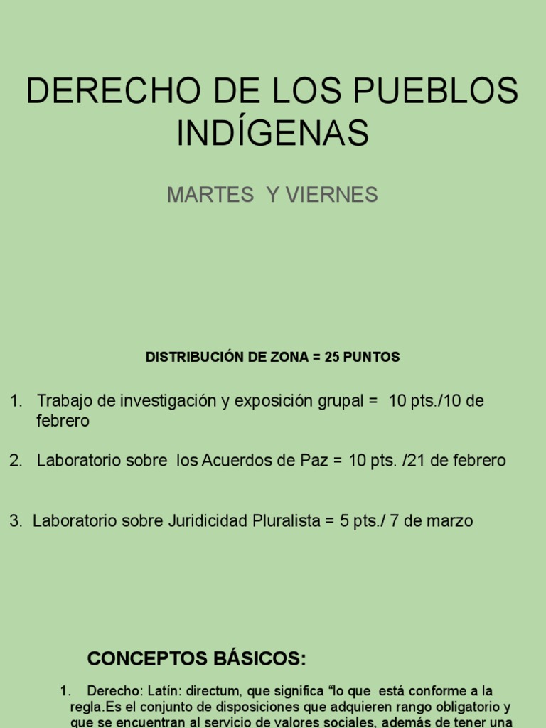 1.derecho de Los Pueblos Indígenas | PDF | Derechos | Guatemala