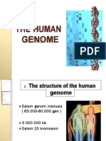 2the Human Genome