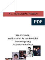 K1 REPRODUKSI Hewan