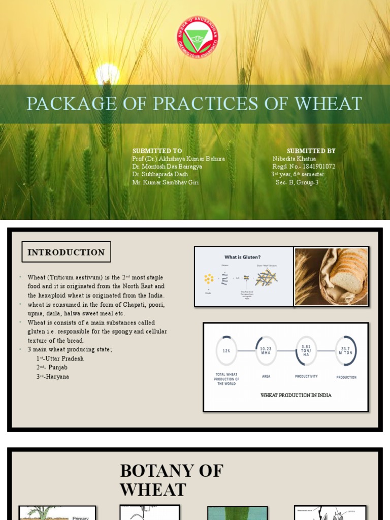 Rice Package Of Practices