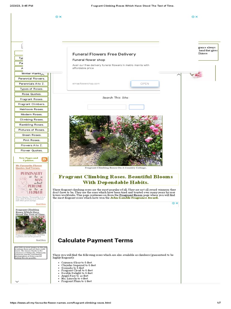 Fragrant Climbing Roses Which Have Stood The Test of Time | PDF | Rose ...