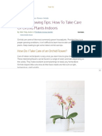 Indoor Orchid Care - How Do I Take Care of An Orchid Flower