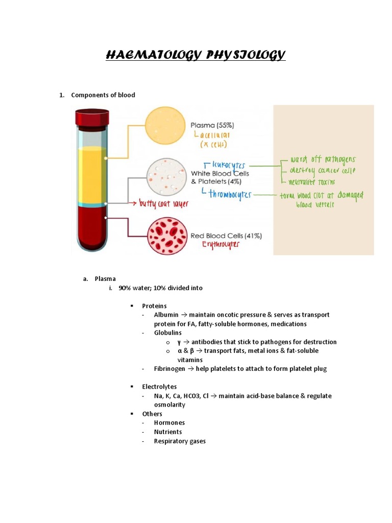 Haematology Physiology Pdf Haematopoiesis Red Blood Cell