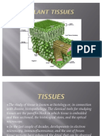 Plant Tissues