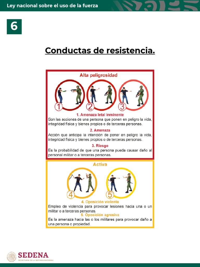Ley Sobre El Uso de La Fuerza (Conductas de Resistencia) | PDF