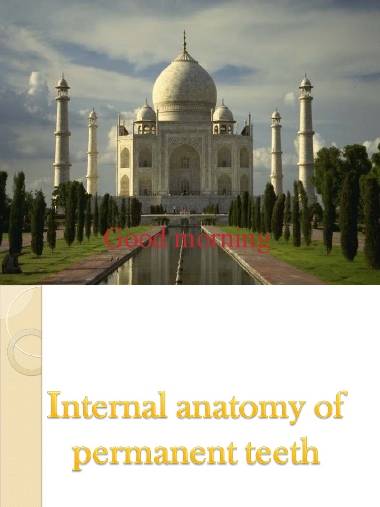 2 Internal Anatomy Of Teeth Pdf Dental Anatomy Tooth