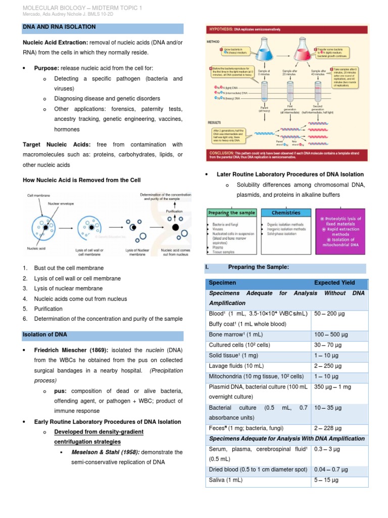 Dna and Rna Isolation PDF Spectrophotometry Physical Sciences