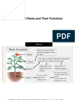 Plants, Parts of plants and their function