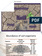 MYCORRHIZA Prep by Ali Irfan ILBAS