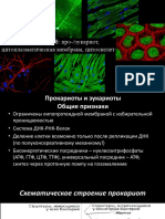 Лекция 1