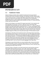 Download kak stadion gedebage by ankga_maunk SN62749473 doc pdf