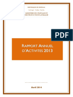 Rapport Activites 2013