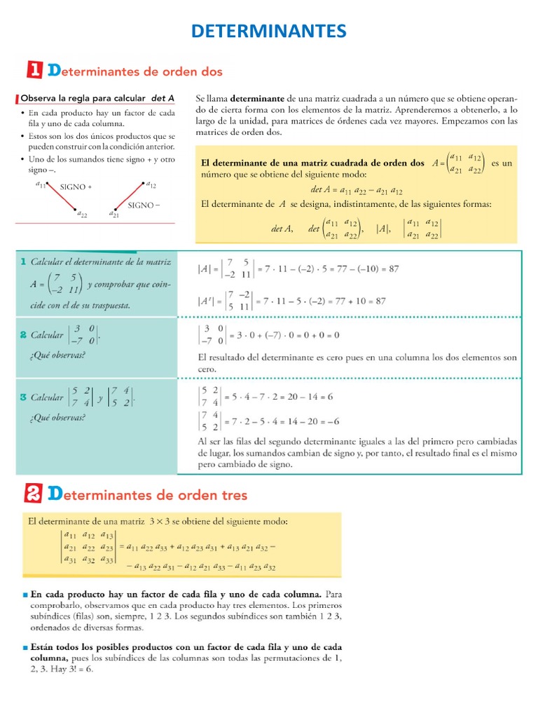 Ejercicios Resueltos de Determinantes | PDF