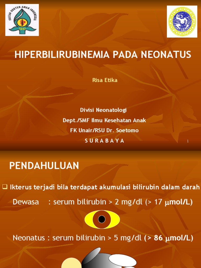 HYPERBILIRUBINEMIA PADA NEONATUS Kuliah PDF