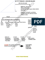 5.gün Ses Bilgisi PDF