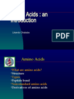 Amino Acids 