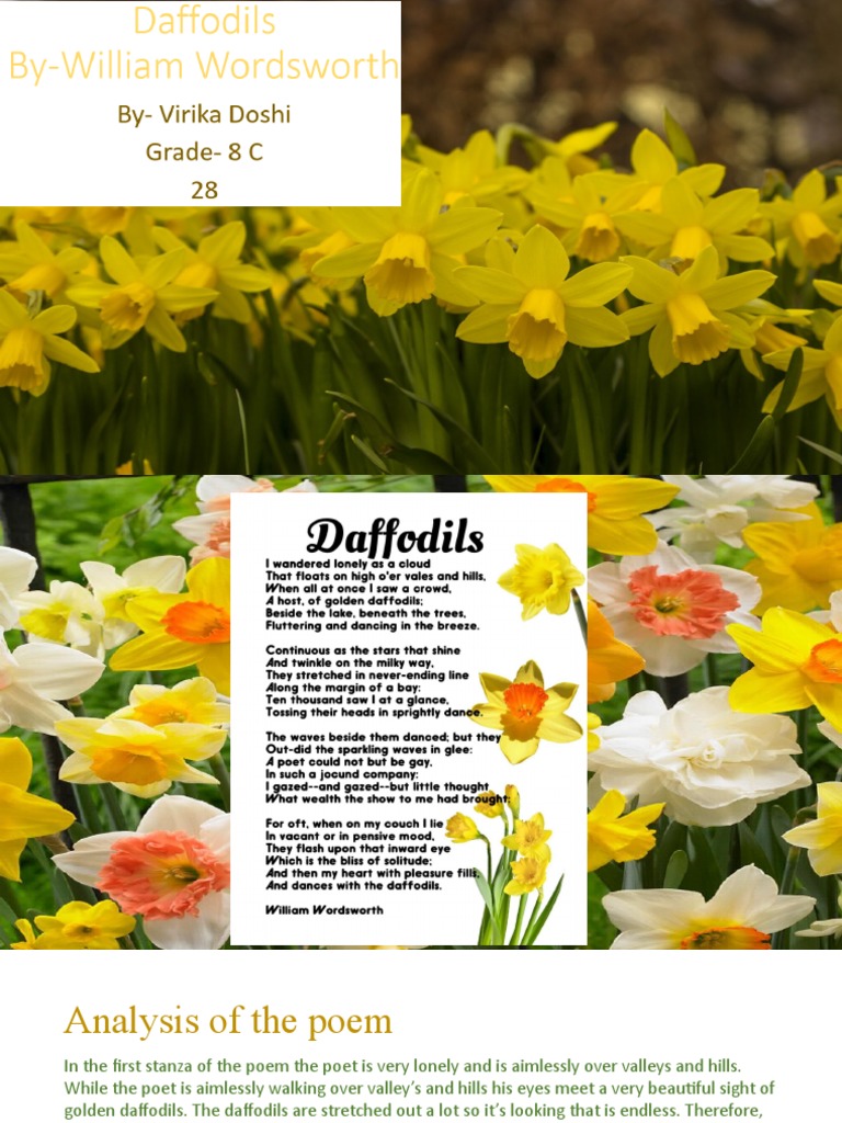 Daffodils Poem by William Wordsworth PDF Poetry