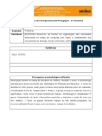 Relatório - Plano de Acompanhamento Pedagógico - 2 Bim