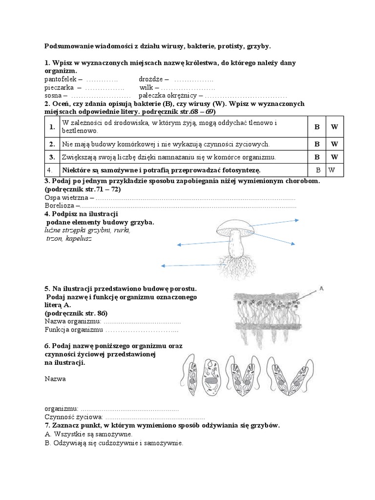 Sprawdzian Z Biologii Klasa 5 Wirusy Bakterie Protisty I Grzyby