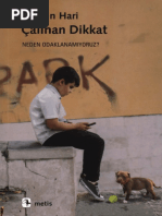 Johann Hari - Çalınan Dikkat - Metis - 231213 - 164455 | PDF