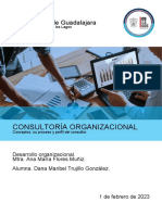 Concepto de Consultoría - Proceso de La Consultoría - Perfil Del Consultor