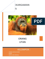 KEANEKARGAMAN ORANG UTAN