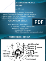 1 Pembentukan Biji-1