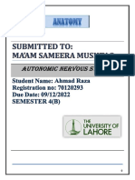 Assignment Autonomic Nervous System