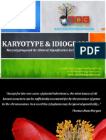 Karyotype and Idiogram PPT by Easybiologyclass