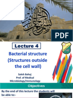 Bacterial Structures Outside the Cell Wall