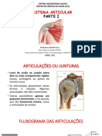 Anatomia Do Sistema Articular Parte I PDF