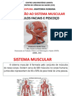 Aula Sistema Muscular (Parte I) PDF