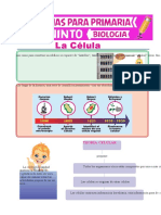 La Célula para Quinto de Primaria