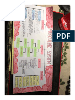 Concept Map Muscle Tissue