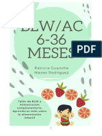 Taller BLW - Ac 6-36 Meses PDF