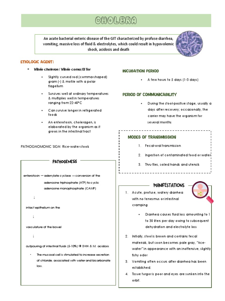 Cholera Pdf Cholera Diarrhea