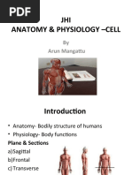 Anatomy