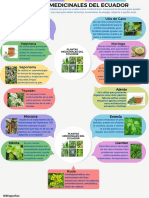 Gráfico Circular Ciclo Mapa de Ideas de Una Idea Principal Con Elementos Relacionados Opciones Multicolor Profesional