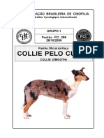 Padrão Oficial do Collie Pelo Curto