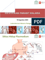 Identifikasi Parasit Malari - Training 2021