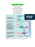 Tema 3 Limpio