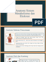 Anatomi Dan Fisiologi Sistem Metabolisme Dan Eksresi