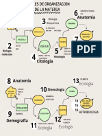 Niveles de Organización de La Materia